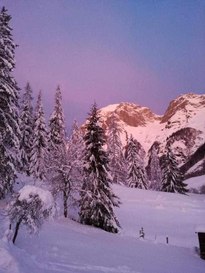 Reithgut Daire Sankt Martin am Tennengebirge Dış mekan fotoğraf