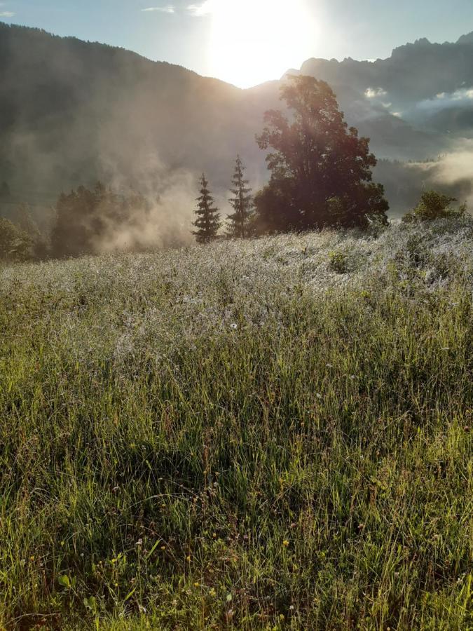 Reithgut Daire Sankt Martin am Tennengebirge Dış mekan fotoğraf