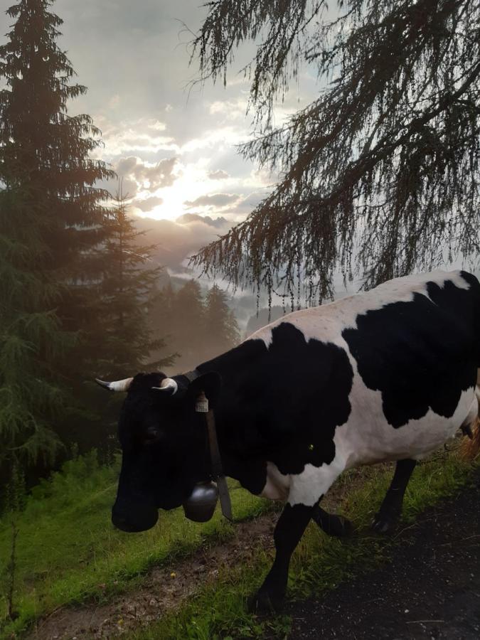 Reithgut Daire Sankt Martin am Tennengebirge Dış mekan fotoğraf